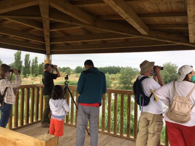 Punt d'observació d'ocells des de la torre dels Aiguamolls.