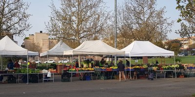 <bound method DexterityContent.Title of <NewsItem at /fs-paeria/paeria/ca/actualitat/noticies/35286>>.