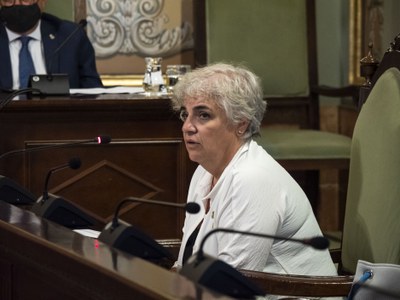 El Ple Extraordinari sobre Promoció s'ha impulsat a proposta del grup municipal del PSC i l'ha defensat la regidora Carme Valls