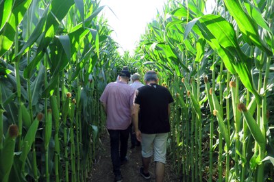 <bound method DexterityContent.Title of <NewsItem at /fs-paeria/paeria/ca/actualitat/noticies/35520>>.