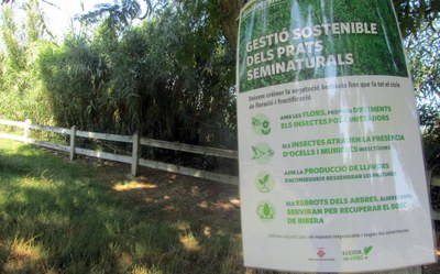 <bound method DexterityContent.Title of <NewsItem at /fs-paeria/paeria/ca/actualitat/noticies/35522>>.