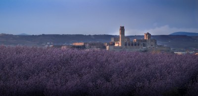 <bound method DexterityContent.Title of <NewsItem at /fs-paeria/paeria/ca/actualitat/noticies/35825>>.