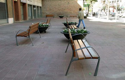 Imatge_cat_2034.jpg.