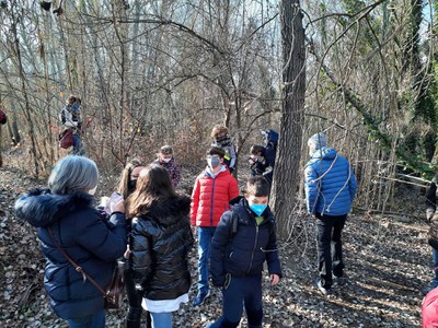 Aquest diumenge, els participants han pogut descobrir tota la vida que s’amaga al bosc a l’hivern.