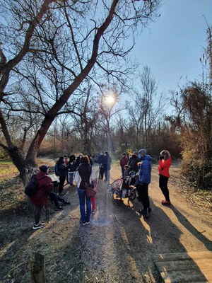 Avui, s’ha fet a la Mitjana la primera sessió d’anellament científic d’ocells de l’any.