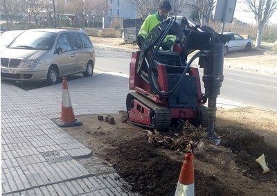 Treballs de la setmana passada a La Mariola per talar arbres en mal estat o retirar soques.