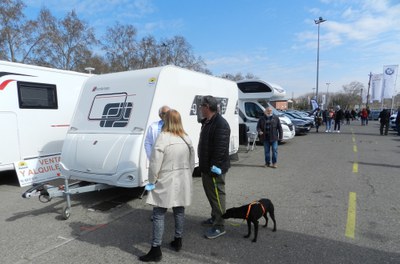 S'han exposat gairebé 500 vehicles, entre cotxes urbans, utilitaris, compactes, berlines, monovolums, SUV, tot terrenys, esportius, vehicles industri….