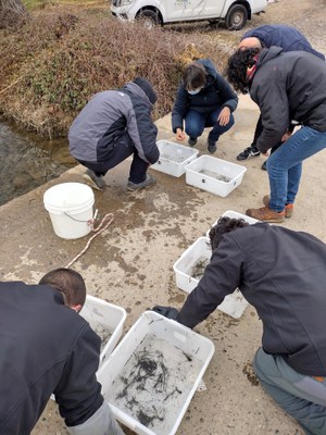 L'actuació la du a terme el Consorci de Polítiques Ambientals de les Terres de l'Ebre.