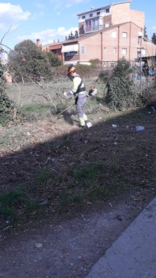 També s’ha netejat i desbrossat el voral del carrer Alfarràs i el voral dels carrers Germanies i Periodista Trapa.