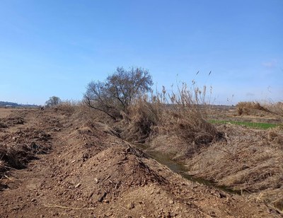 Els serveis tècnics municipals fan el seguiment de les tasques que realitza l’Agència Catalana de l’Aigua dins del Pla de millora i conservació de le….