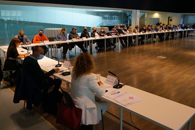 El Consell ha tingut lloc a la sala Martina Castells del Palau de Congressos.