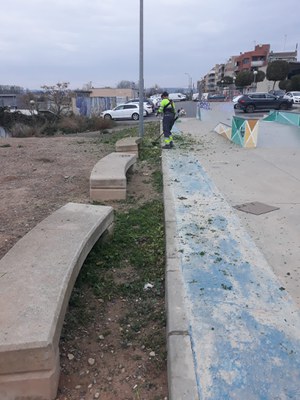 Fotografia del desbrossament d'un solar ubicat al Secà de Sant Pere.