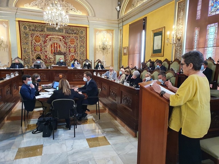 La presidenta del Cercle de Belles Arts, Divina Drudis, ha exposat la moció per atorgar el nom del pintor Pérez Pallarés a un lloc principal de la ciutat