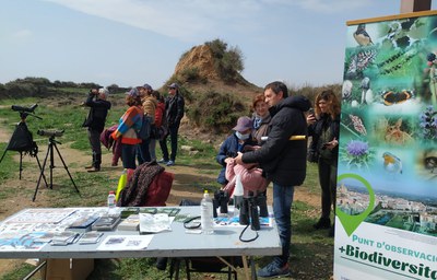 El punt d'observació ha estat un dels tallers que s'han sumat al Posa't la Gorra.