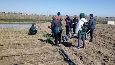 Imma Roigé, coordinadora del projecte, ha explicat aquesta iniciativa de producció i distribució de verdura ecològica.