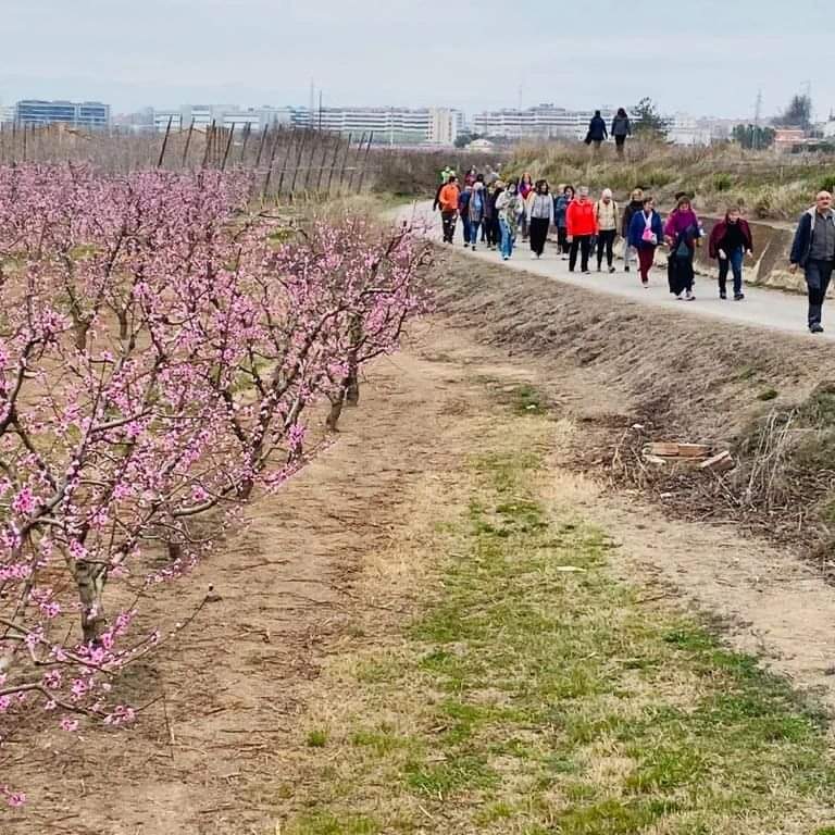 Les sortides de "Caminar és fer salut" inclouen diversos itineraris per l'Horta de Lleida