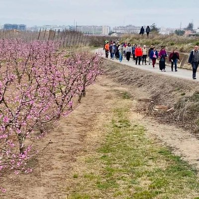 Les sortides de "Caminar és fer salut" inclouen diversos itineraris per l'Horta de Lleida.