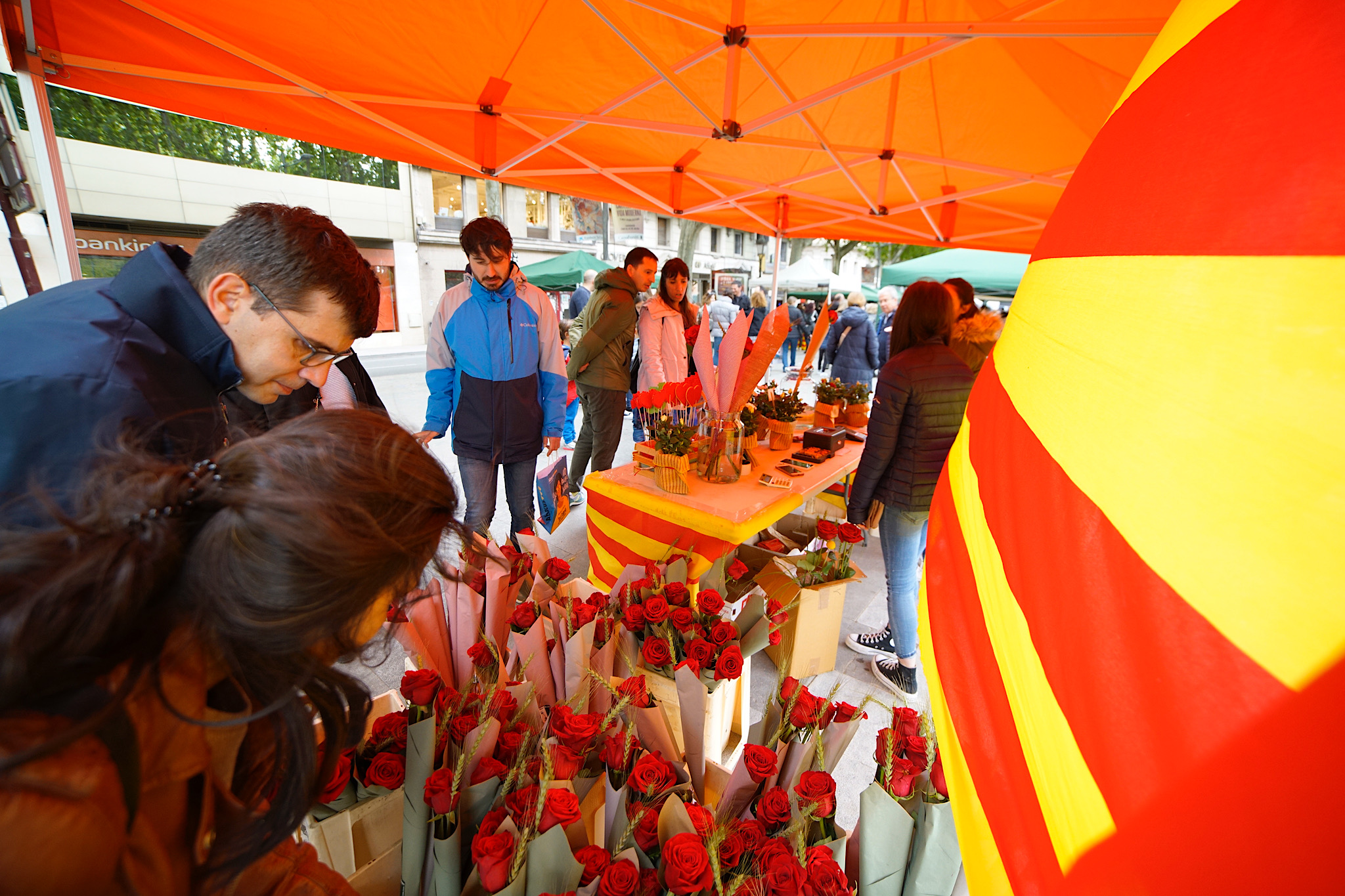 Roses i llibres, els protagonistes de la Diada