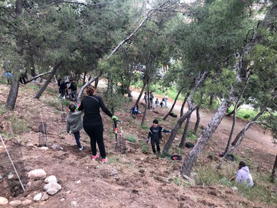 <bound method DexterityContent.Title of <NewsItem at /fs-paeria/paeria/ca/actualitat/noticies/36751>>.