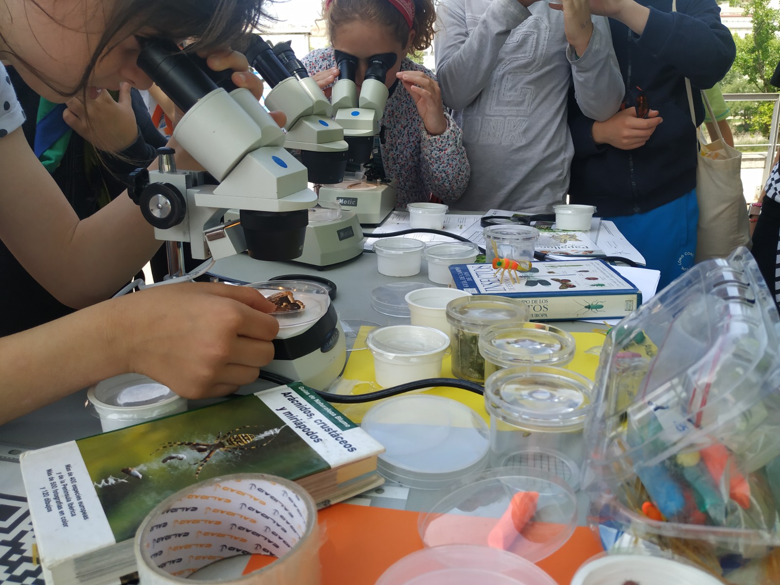 El públic més jove s'ha mostrat encuriosit per observar els artròpodes a través de les lupes binoculars