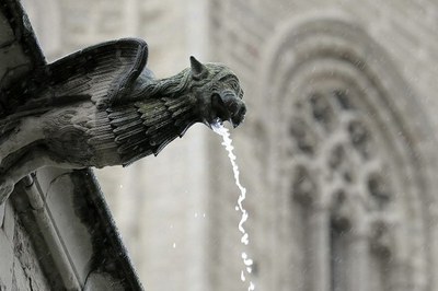 Una passejada pel turó per descobrir diferents indrets relacionats amb l’aigua.