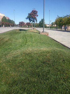 Intervenció al Parc de les Vies.