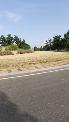 La rotonda de la Torre del Patriot.