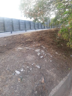 Vista del carrer Paer Rufes després del desbrossament.