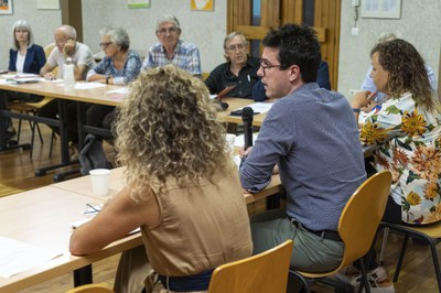 Imatge de la sessió de la comissió d'aquesta tarda.
