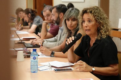 Imatge de la sessió d'aquesta tarda de la Comissió del Nomenclàtor.