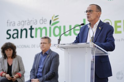 El paer en cap de Lleida, en un moment de la seva intervenció..