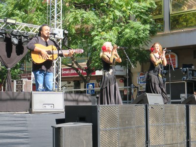 La violeta porta més de 20 anys de trajectòria musical.