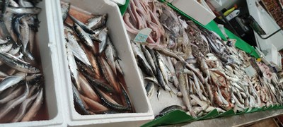 <bound method DexterityContent.Title of <NewsItem at /fs-paeria/paeria/ca/actualitat/noticies/37443>>.