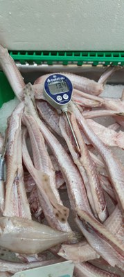 El peix no reuniria les condicions òptimes de fred.