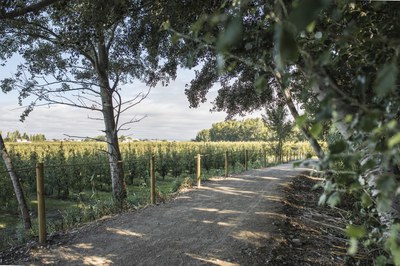 <bound method DexterityContent.Title of <NewsItem at /fs-paeria/paeria/ca/actualitat/noticies/37505>>.