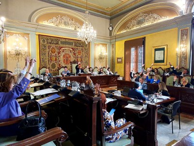 El Ple Municipal aprova els estatuts de la nova Empresa Municipal d’Agenda Urbana de Lleida