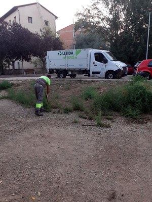 Treballs de desbrossament a l'entorn del Molí de Sant Anastasi, a la Bordeta.
