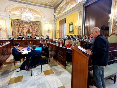El president de la FAVLL, Toni Baró, ha intervingut durant el debat dels pressupostos