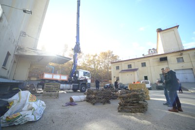 L'actuació es du a terme en el recinte de les antigues sitges Senpa de Pardinyes.