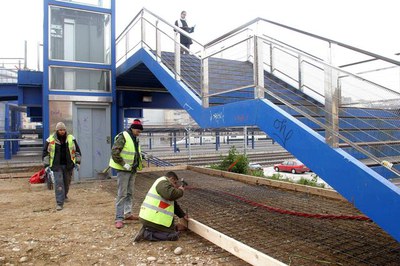 Imatge_cat_2226.jpg.