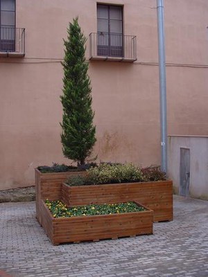 Imatge_cat_2260.JPG.