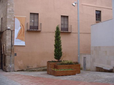 Imatge_cat_2261.JPG.