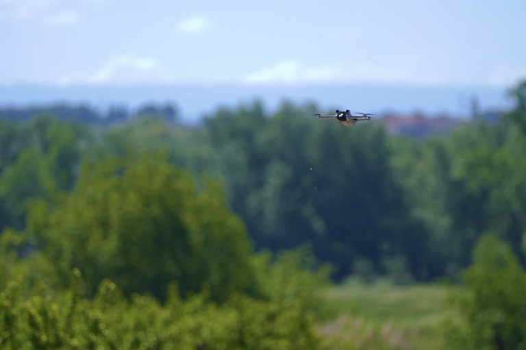 La majoria de vols s’han dut a terme a l’Horta de Lleida, dins de les accions incloses en el Pla d’Actuacions per prevenció de robatoris en aquesta zona de la ciutat