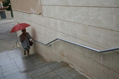 Imatge_cat_4299.jpg.