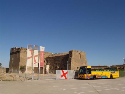 Imatge_cat_4427.jpg.