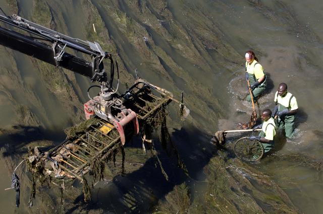 La Paeria repetirà periòdicament la neteja del llit del riu.