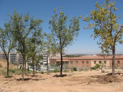 Imatge_cat_4472.JPG.