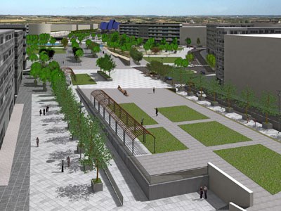 Imatge_cat_5426.jpg.