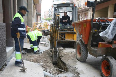 Imatge_cat_5594.jpg.