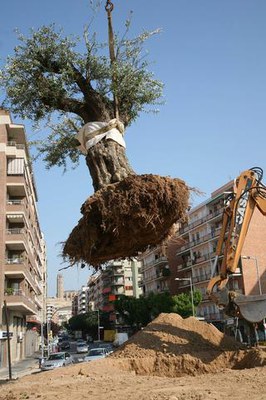 <bound method DexterityContent.Title of <NewsItem at /fs-paeria/paeria/ca/actualitat/noticies/7934>>.